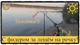 Забудь про СОН, когда клюёт! Рыбалка на Свияге на фидер
