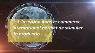 Quels sont les fondements du commerce international ? [Partie 3/4 : les firmes multinationales FMN]