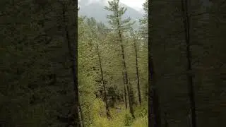 Beautiful View All Time