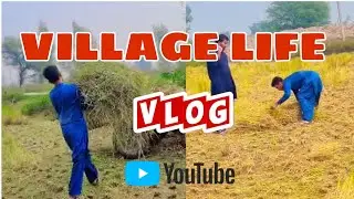 📷 EPISODE : 2 || ONE DAY IN VILLAGE LIFE || HOW TO SERVIVE IN SUMMER IN VILLAGE #youtube