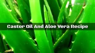 Castor oil and aloe vera recipe