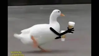 Утка несет кофе.Подпишись 🙏🏻🙏🙏🏻
