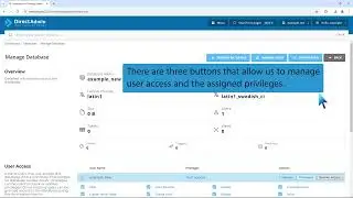 How to modify database user privileges in DirectAdmin   BLUE ARCTIC