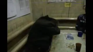 андрюша