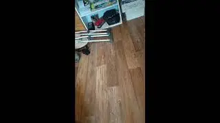 стрим сорри что давно не было