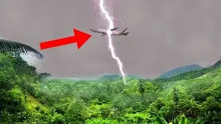 10 Survival Stories That Actually Happened