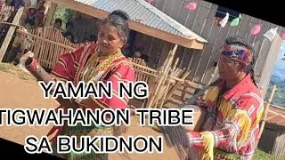 TAGONG YAMAN NG ISA SA MGA TRIBU SA BUKIDNON, IBINIDA
