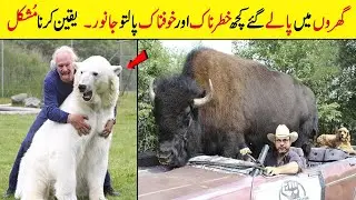 Khatarnak Tareen Animals K Jo Logon Ne Gharon Main Paal Rakhy Hain
