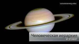 Этикет и человеческая иерархия