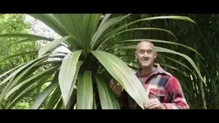 Planting Design from Hunting Brook Gardens: Summer & Autumn
