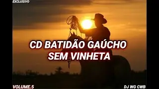 CD BATIDÃO GAÚCHO SEM VINHETA VOLUME.5 DJ WG CWB