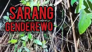 Di sarang Genderewo