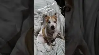 Megan com 15 anos, tomando sol q ela amava! Ja cega po