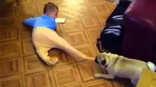 собака играет с малышом