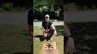 Loud and Explody #3dprinted  Toroidal Props pt17 #fpvdrone