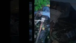 ска 5 нива продам що на фото