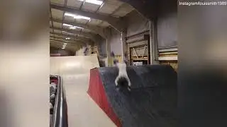 Skatepark Resin Launch Box Backflip Bounce