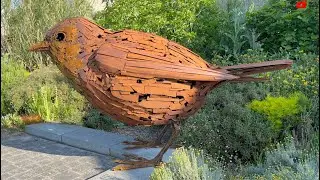 QUIBERON   |  🐦 Le Moineau de Brétinio   |  TV Quiberon 24/7