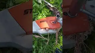 Short vid of palm removal #chainsaw  #lawncare