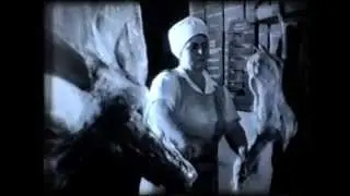 Хранение мяса и мясопродуктов