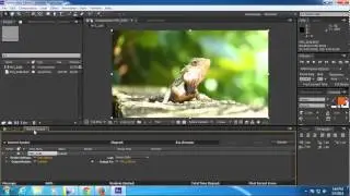 How to Export QuickTime MOV files from After Effect for Stock Footage Submission