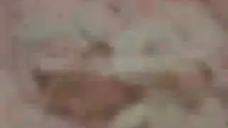 romane gila