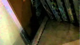 Плазмоды, ч.1