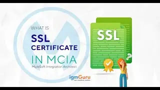 What is SSL Certificate in Mulesoft Integration Architect | MCIA Tutorial [Updated 2026] - igmGuru