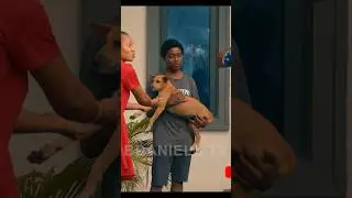 You said you want HOT DOG! 😂