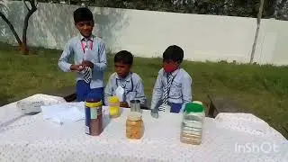 वार्षिक स्कूल प्रयोगात्मक कार्य #shcoollife