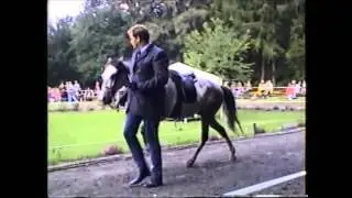 Naturtölt IDMG 1996