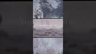 “Fuori della Notte” from Eden Roc.   