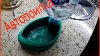 Автопоилка для кота с помощью 3D принтера / Cat feeder 3d print
