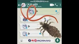Dezarranjo Ilhéu - Zoológico