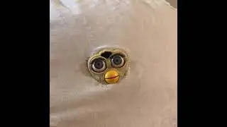 Long Furby SQUISHES the worms