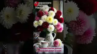 #добрыйвечердрузья #всемдобра#удачи