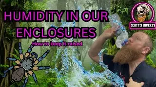 Humidity and raising it
