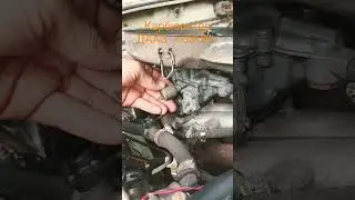 #lifehack