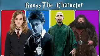 Harry Potter Video Voice Challange .. Do you know them all⚡️
