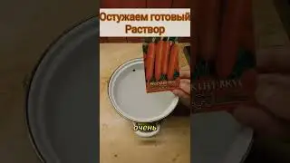 Сажаю морковь только так🥕👍🏻 #рекомендации #дача #советы #огород #сад #морковь #рассада #shorts