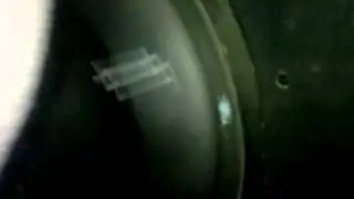 RE Audio XXX12 x 2 Flex`n`SQ