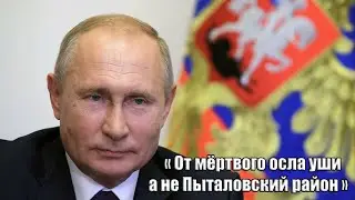 Путин От мертвого осла уши а не Пыталовский район