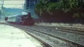 la locomotora canina