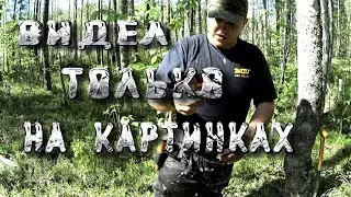 FINDS IN THE OLD FOREST | AMAZING IN THEIR PRESERVATION | War Dig