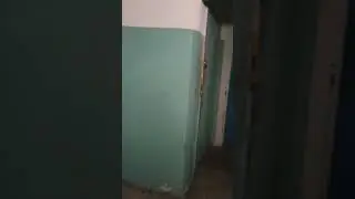 СЛУШАЮТ ШАМАНА