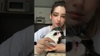 Меня пытается сожрать собственная кошка…
