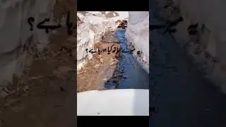 #viral#islamic#never#disheart#plz#like#Subscribe#