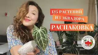 ОГРОМНАЯ РАСПАКОВКА ИЗ ЭКВАДЖЕНЕРЫ