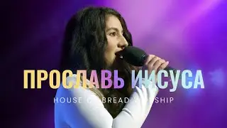 Прославь Иисуса - House of Bread Worship | All Hail King Jesus - Bethany Wohrle Bethel Music (Cover)