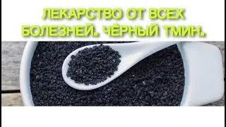 Книга медицины ٧٦- كِتَابُ الطِّبِّ. Глава: Чёрный тмин